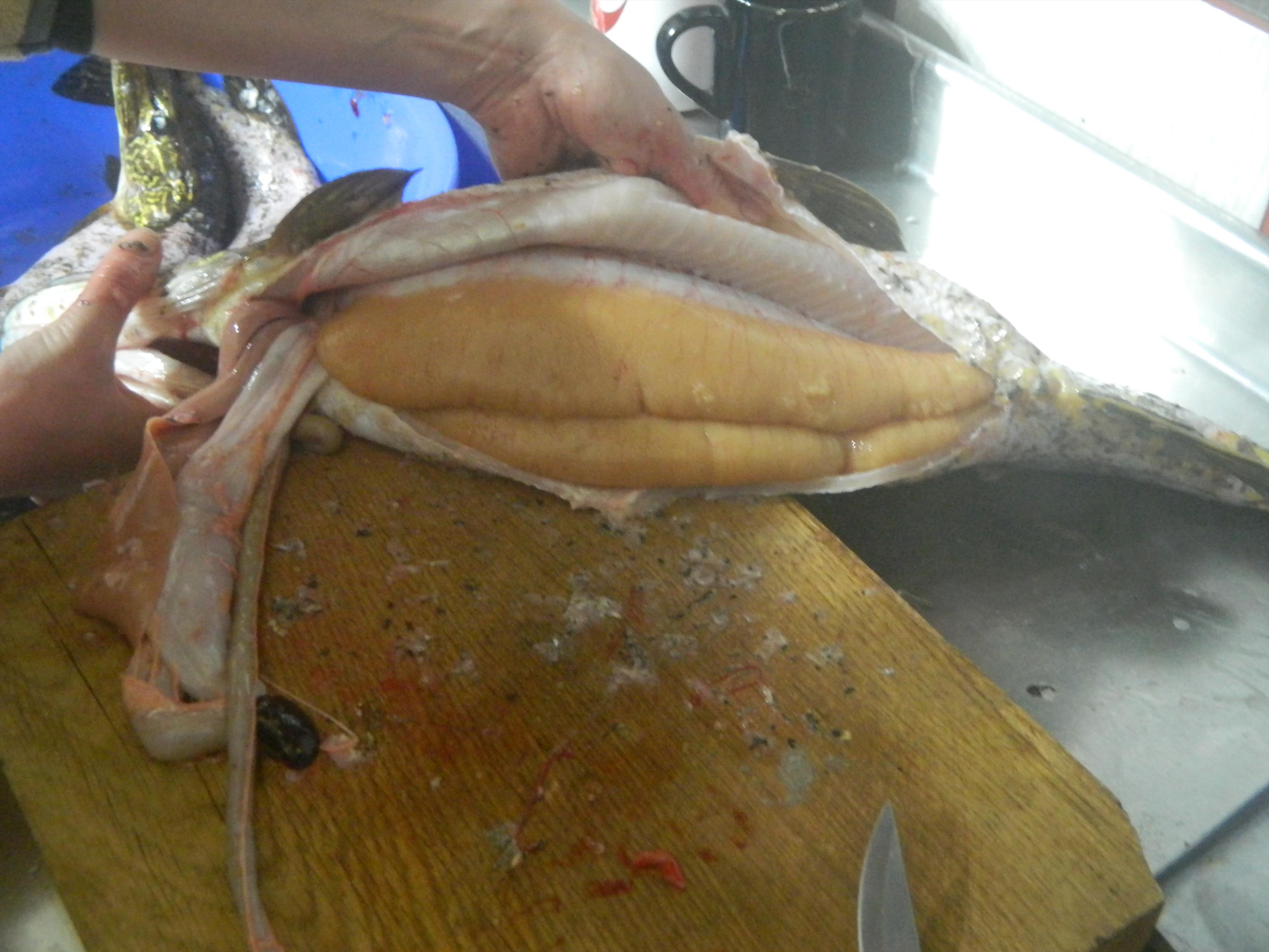 Delta - mulineta 129.jpg